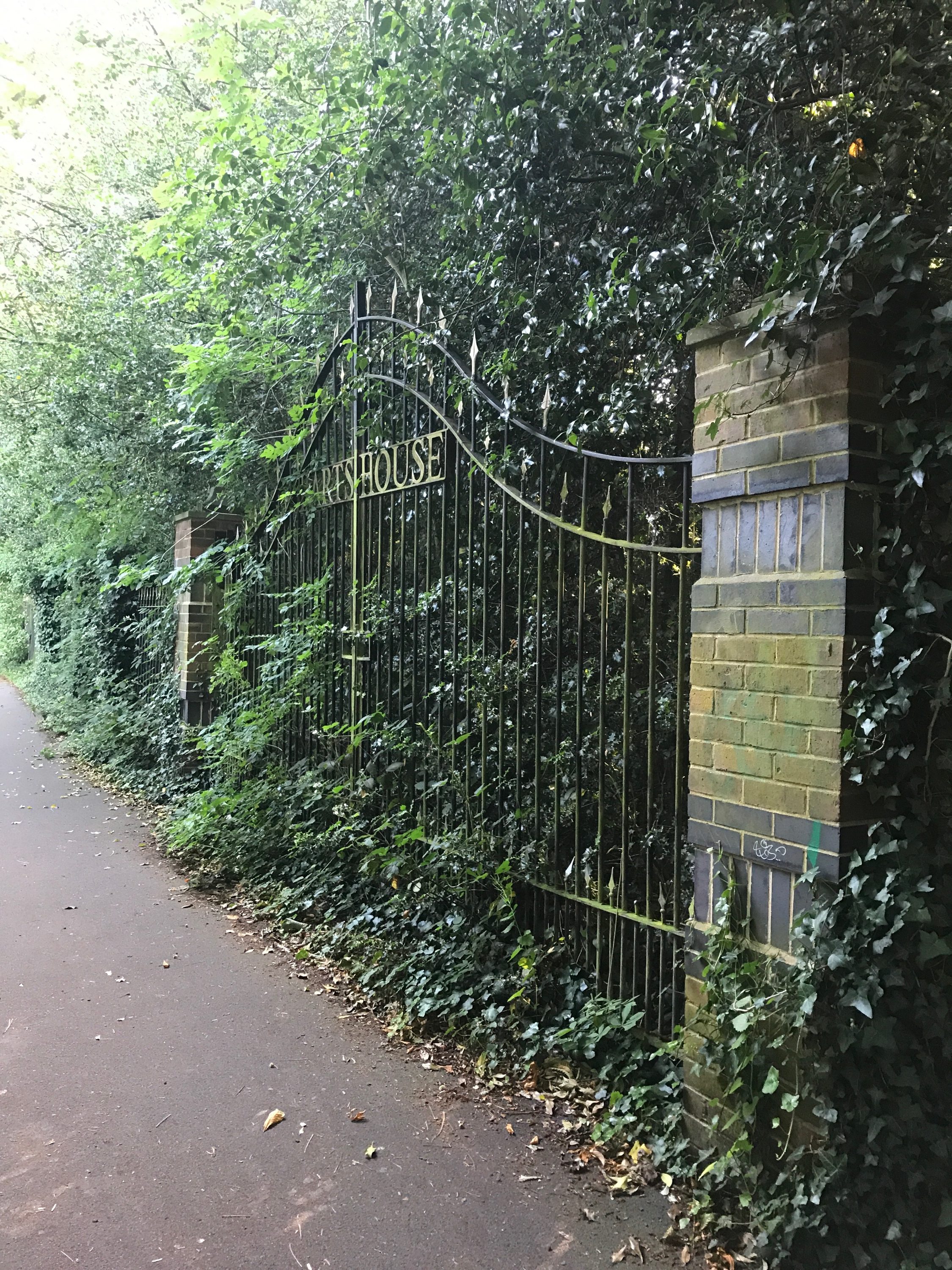 Iron gate covered in ivy preventing it from being open